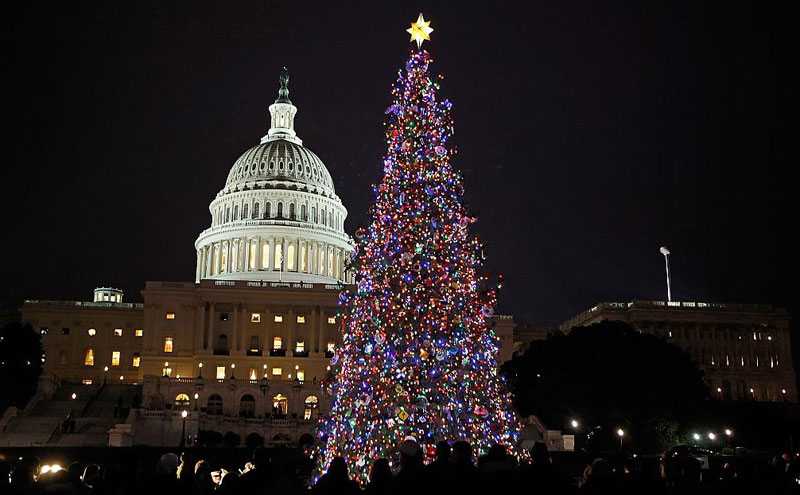 Capitol-Christmas-Tree