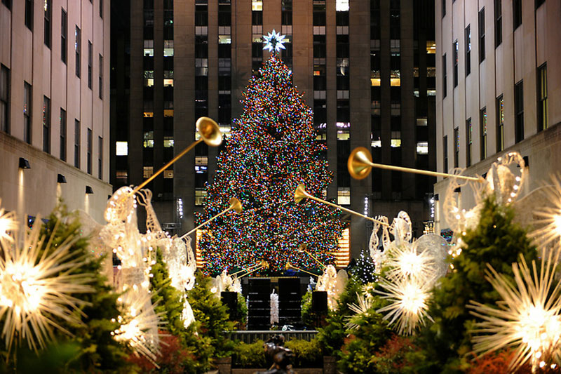 Главная рождественская елка США