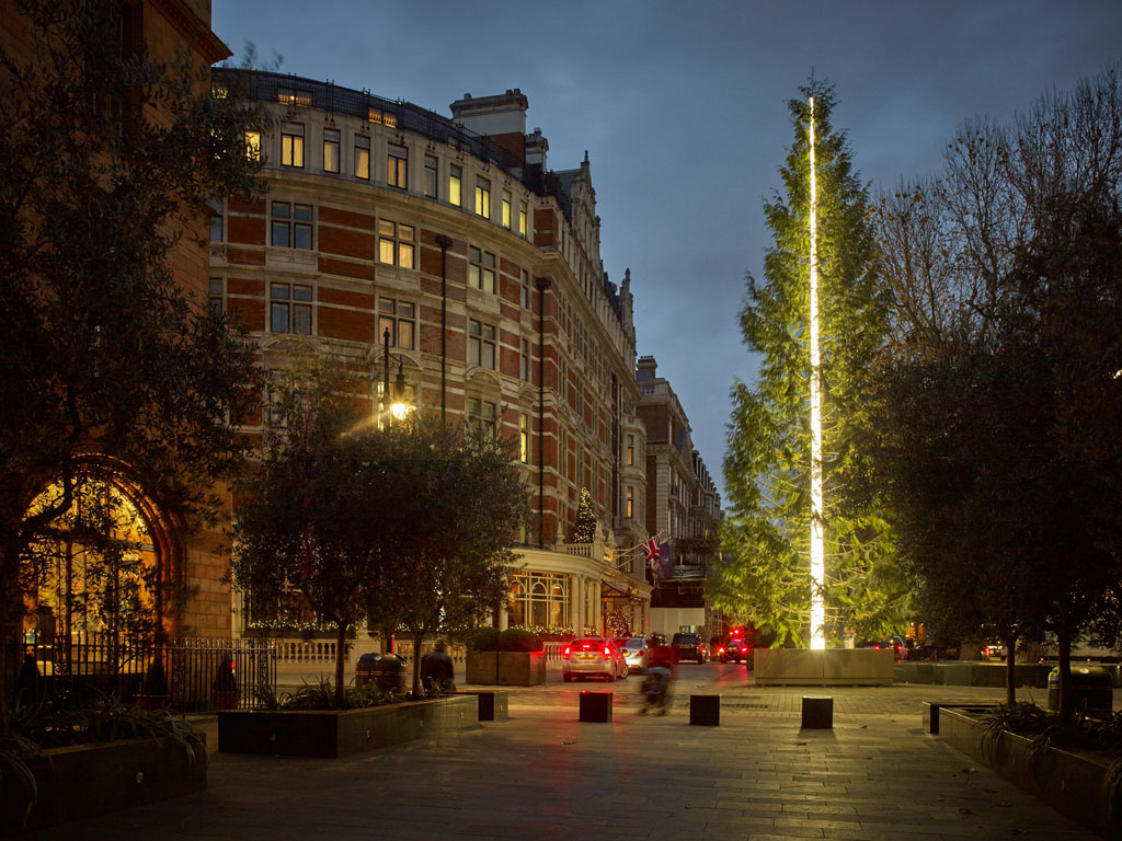The Connaught Christmas Tree-2016